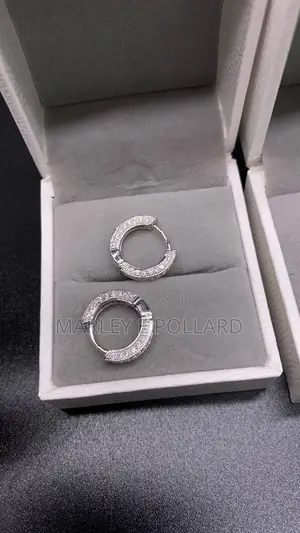 Round Cut Vvs1 Moissanite Earrings