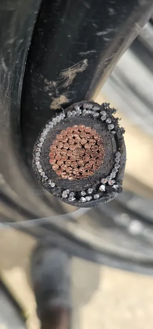 300mm Single Armored Cable 