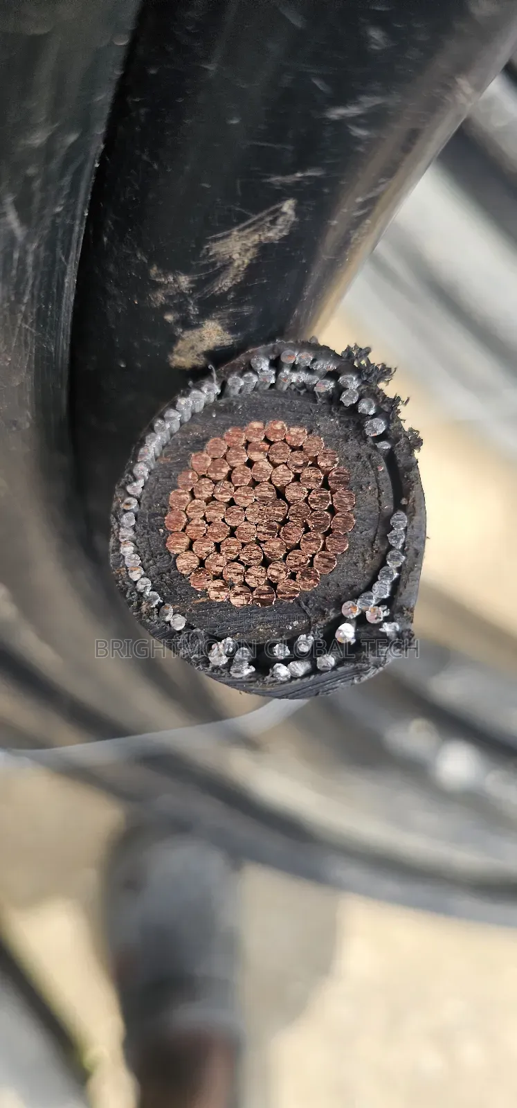 300mm Single Armored Cable 