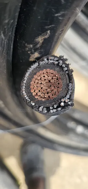 300mm Single Armored Cable 