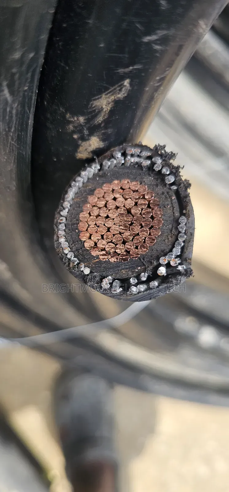 300mm Single Armored Cable 
