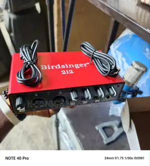 Professionals Birdsinger 2i2 Audio Interface