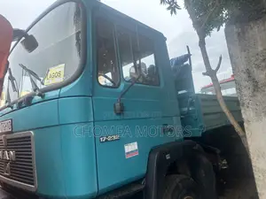Man Dumping Truck