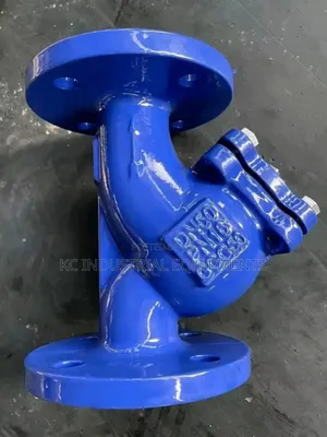 Dn50 Cast Iron Valve Pn/16