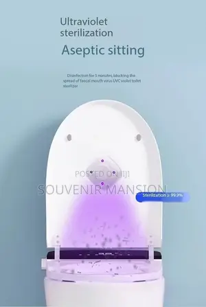 Toilet Sterilizer