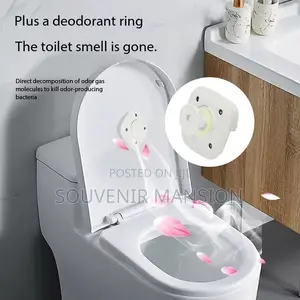 Toilet Sterilizer