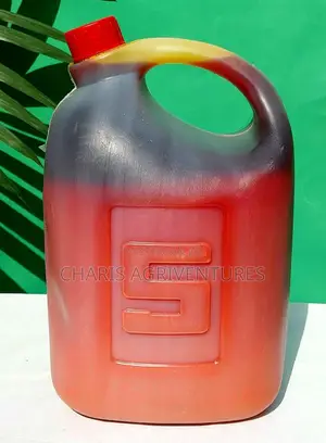 Five Litres of Palm Oil