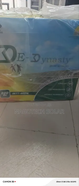 220amh De Dynasty Tubular Tall Batteries