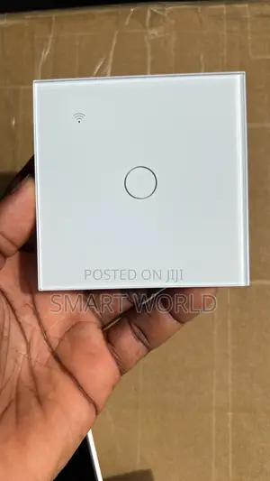 1gang Wifi Smart Switch With Alexa Google