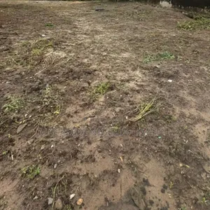 3993sqm of Dry Land Selling