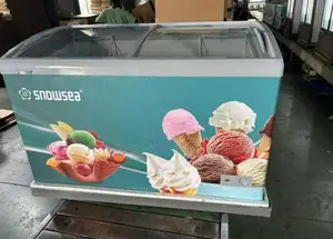 Original Snowsea Freezer Ice Cream Coler Oz Full Door