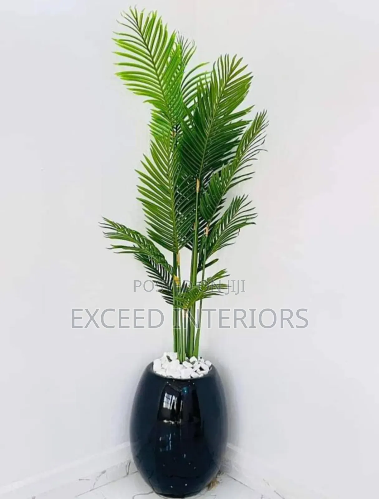 Quality Imported Beautiful Flowers