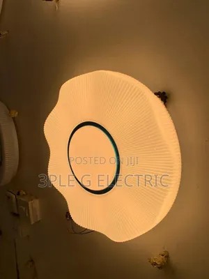Morden Led Ceiling Flush
