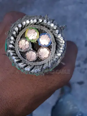 5core Nigerchin