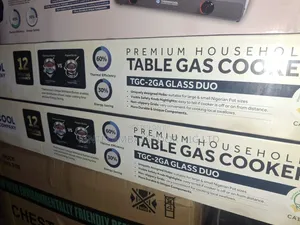 Thermocool Gas Double Burner