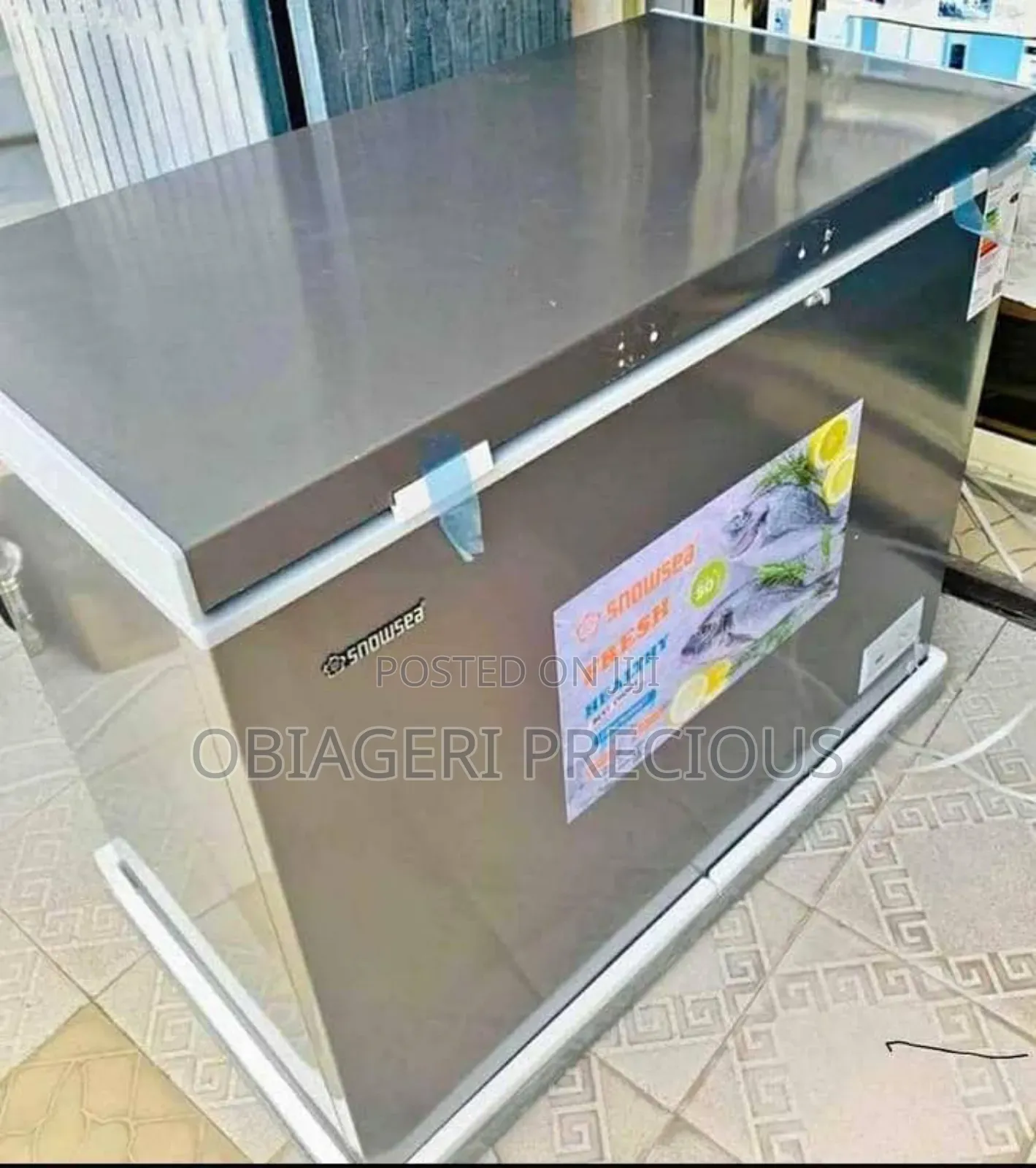 Snow Sea Freezer