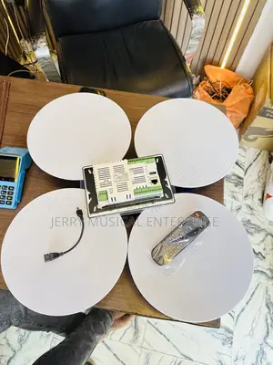 7inches Smart Amplifier With 50wattframless Ceiling Speaker