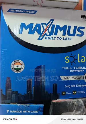 Maximus Tall Tubular Batteries