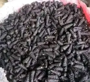 Seafoods at Affordable Rates