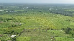 Crazy 50 Acres Distress Sales