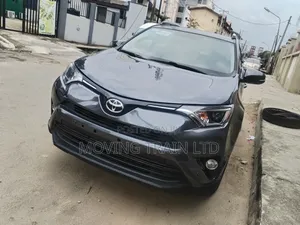 Toyota RAV4 XLE AWD (2.5L 4cyl 6A) 2016 Gray