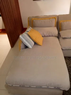 Professional Upholstery Cleaning
