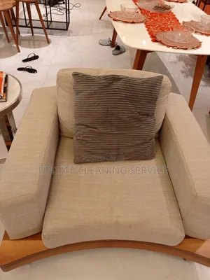 Professional Upholstery Cleaning