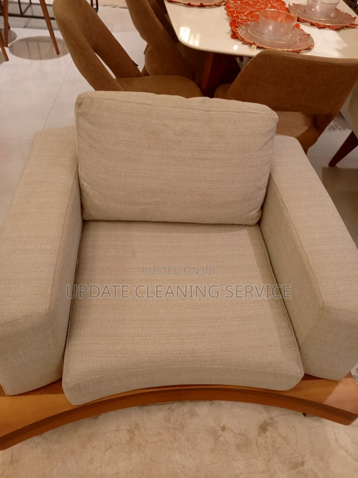 Professional Upholstery Cleaning