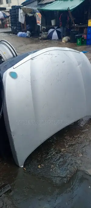 Hyundai Sonata 2013 Bonnet and Chrome