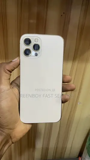 Apple iPhone 12 Pro Max 256 GB Gold