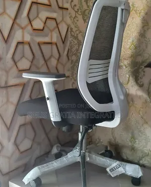 Office Chair With Adjustable Hand And Plastic Back