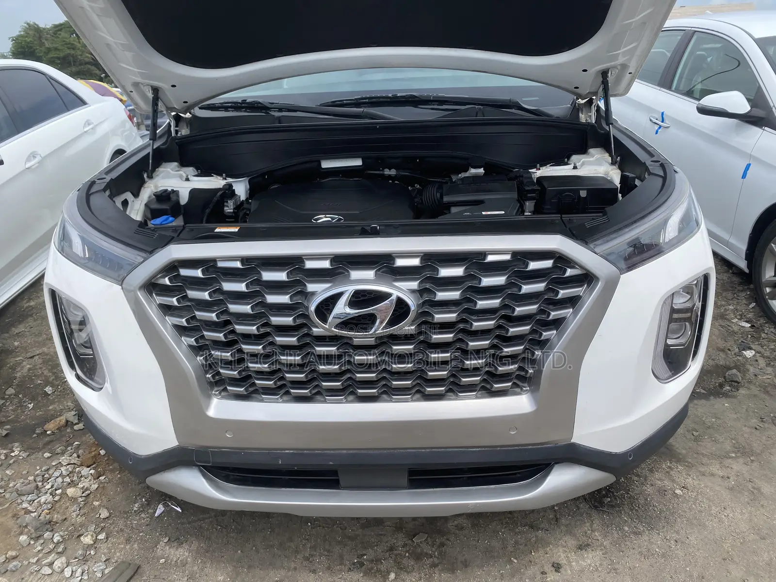 Hyundai Palisade 2020 White