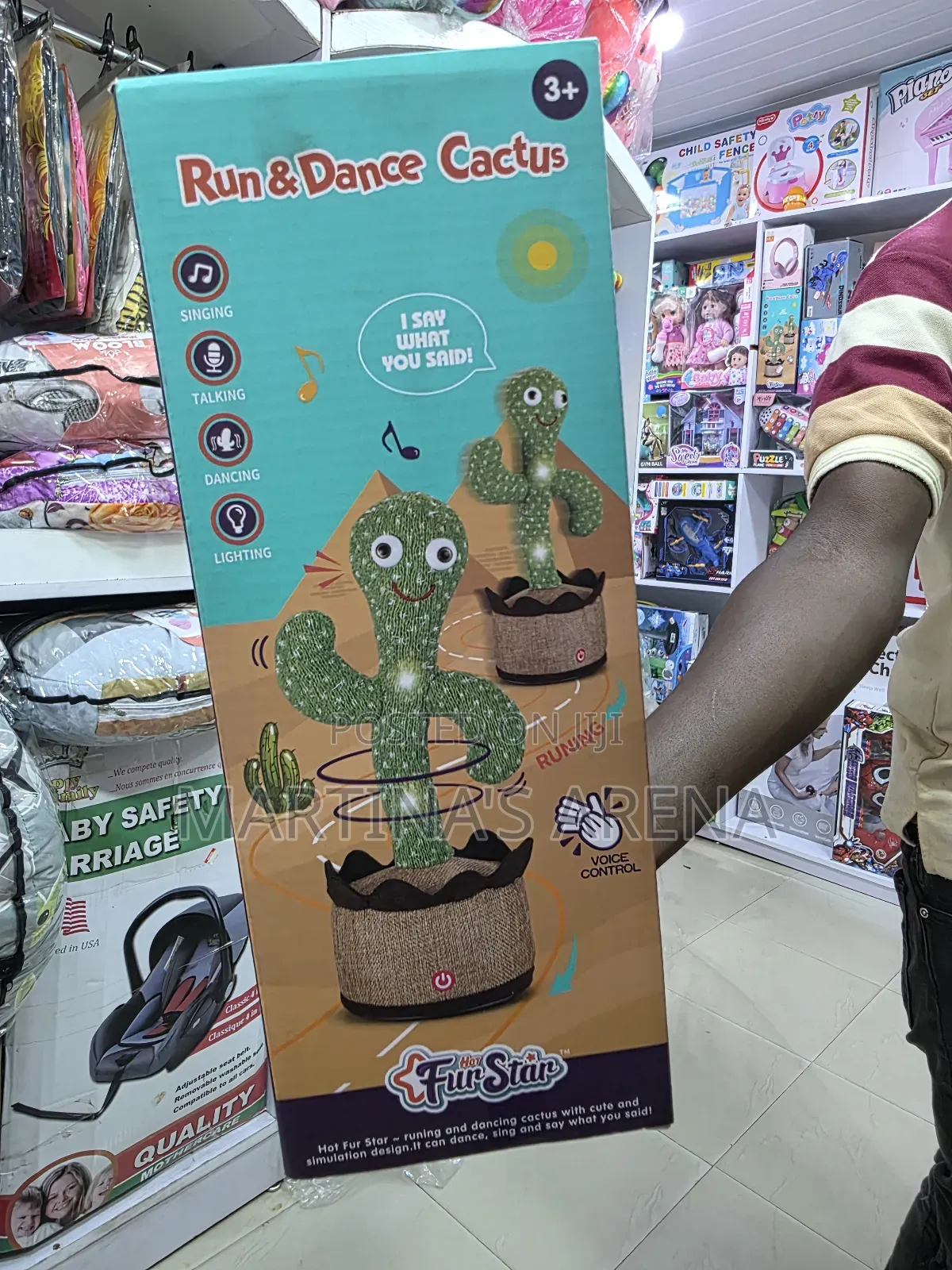 Cactus Dancing Toy