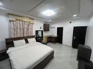 Furnished Studio Apartment in Garki 2 for rent