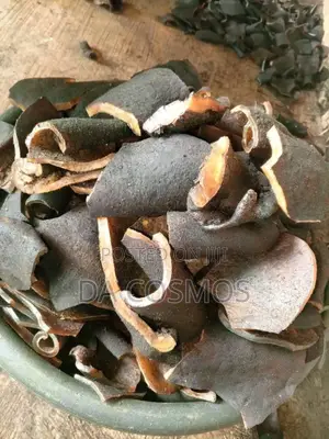 Ijebu Pomo From Cosmos