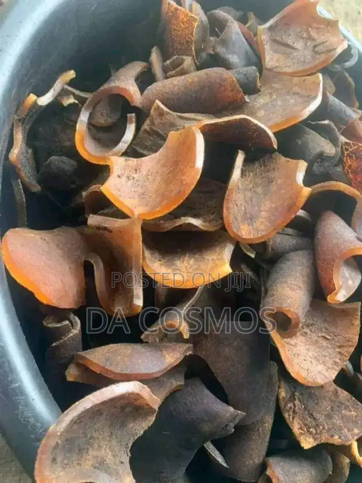 Ijebu Pomo From Cosmos