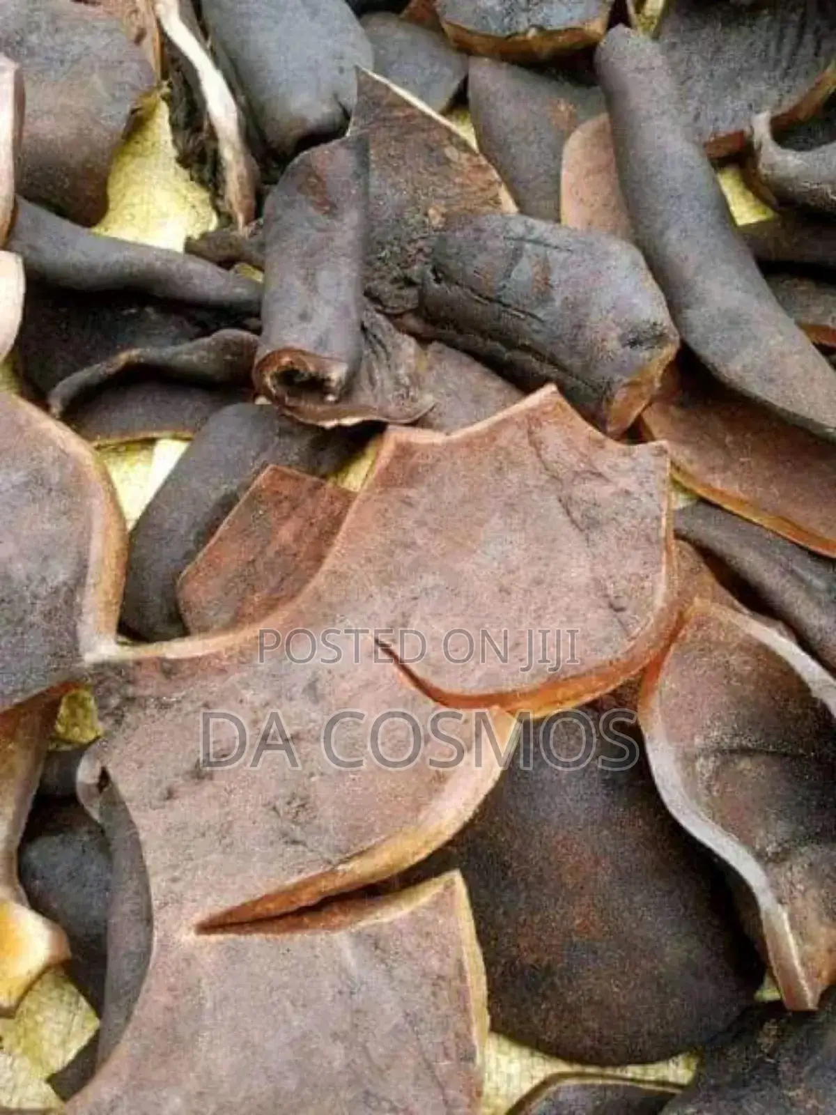 Ijebu Pomo From Cosmos