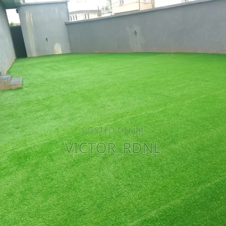 Carpet Grass Are Sold Here