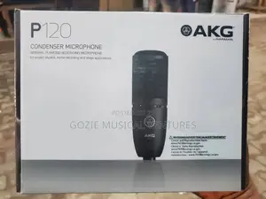 Akg P120 Professional Condenser Microphone.