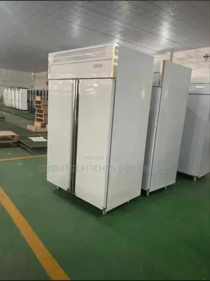 Industrial 2 Doors Freezer