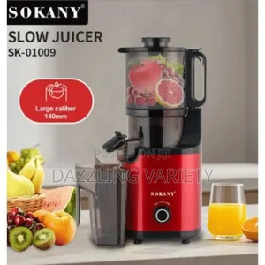 800watts Sokany Slow Juicer