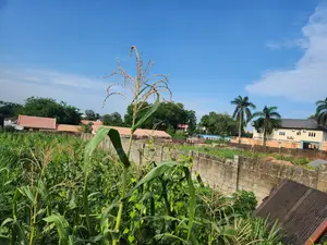 1000m2 Fenced Land Near Oba Adeshida Gate, Iyaganku Gra
