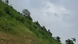 4 Plots of Land Opposite Zoo Funaab