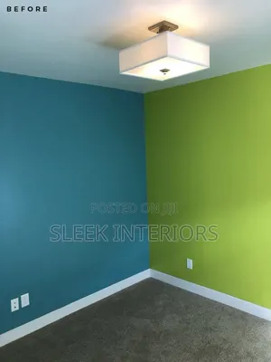 Professional Painters