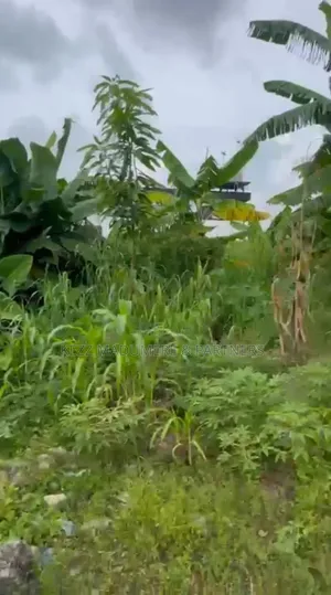 For Sale : 4 Plots at Uyo Street, Off Stadium Road, Ph