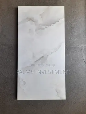 30x60 Polished Wall