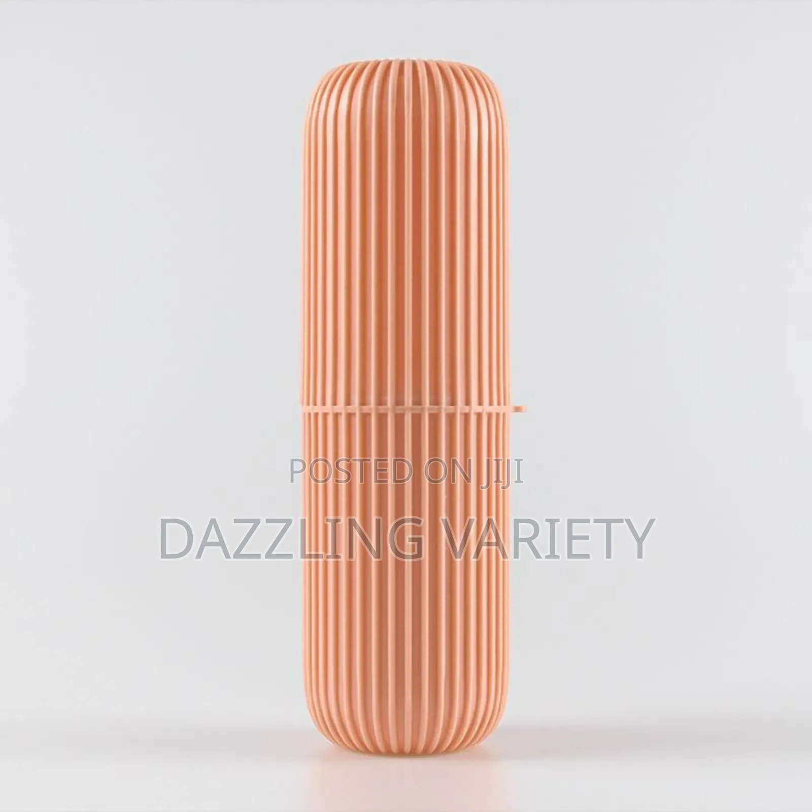 Brush Toothpaste Holder/Case