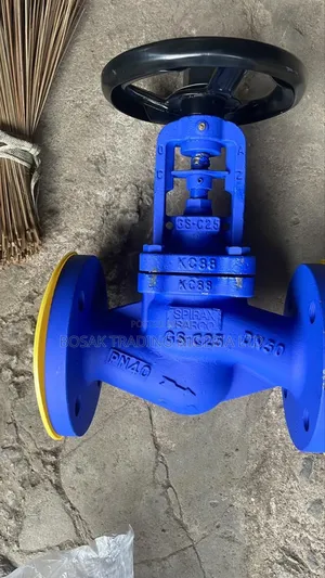 4" Bellow Globe Valve