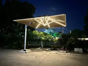 Popular and Newly Designed Solar Outdoor Umbrella