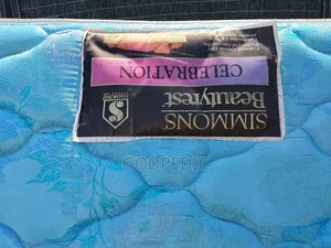 Full Korean Orthopedic Mattress